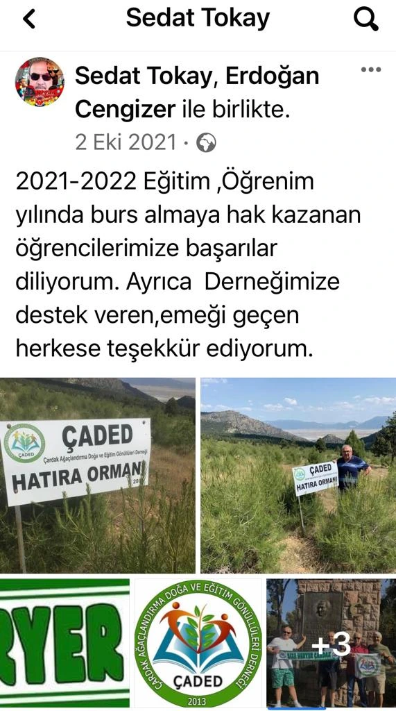 Reforestation 12a