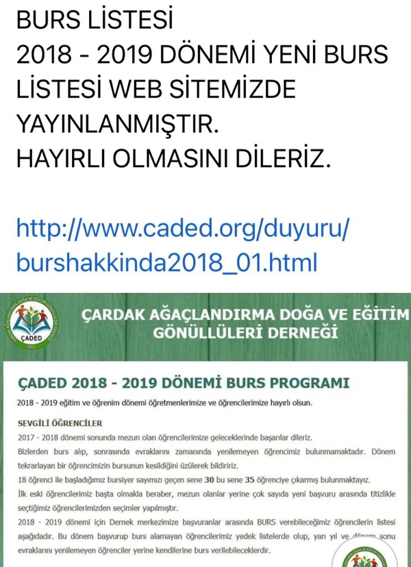 Scholarships 17