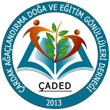 Mavi çember