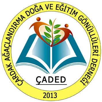 Sarı çember