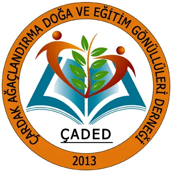 Turuncu çember